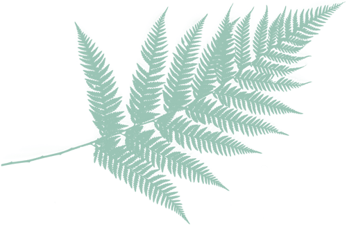 holistic healing therapy billings